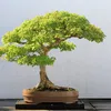 anhyeu2663
