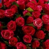 ilaria_912