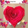 ana.lilia.reyes0