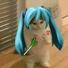 la_gata_de_miku