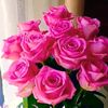 user_10984578357