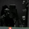 punyadiaa088