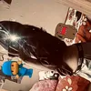 sari_ks16