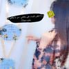user8617200561347