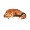 foxzandoo