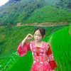 lz.chang