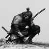 black_sider233