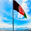 wahid.afghani1