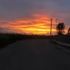 guridhillon9