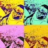 usedijinjboyz