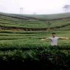 asep.supriatna5371