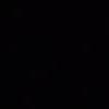 punn_0312