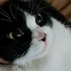 little_kit00epta
