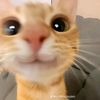 ali.sut8