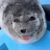 silly_ponsuke