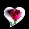 user7436308116628