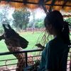 kannika.zx14y