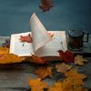 aya.mohamed8117