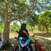 syamsyam8647