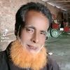md.shafir8