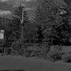 veronyxckp3