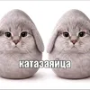 koto_kykeka
