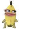 whatmaydo
