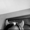 nikyshka.4