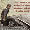 david.onex.quispe