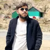 Hafeez Bhatti 65