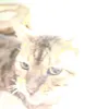 zacharyb13