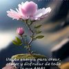 anabella.romn
