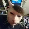 4nubiczx369