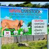 Mnini Livestock