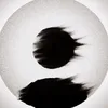 dragon..editor