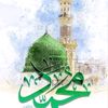 mouhamad.nazal