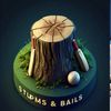 Stumps&Bails Super League