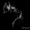 eman.ebrahim553