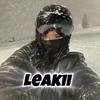 .leakii