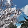 imane_7419