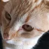 mndxtrkra0812