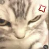 michelle_18l