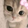 immobi_u