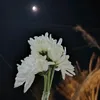 user41571080072623