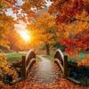 user932072531738dalma