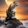 elouafi.mohamed3