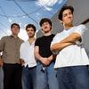 whiskerband