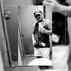 ray.sousa271