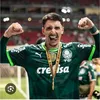 galo13dvi