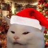 somerandom_accto
